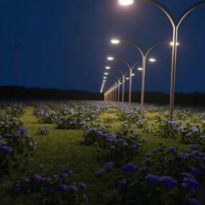 美女不穿衣服，露出奶头网站视频
